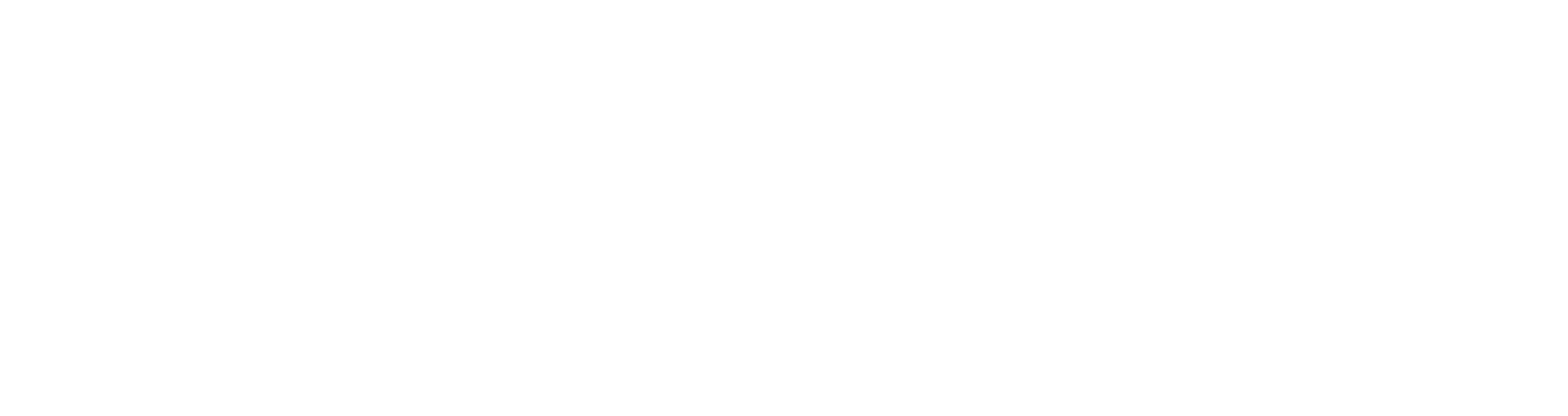 Logo Basic US